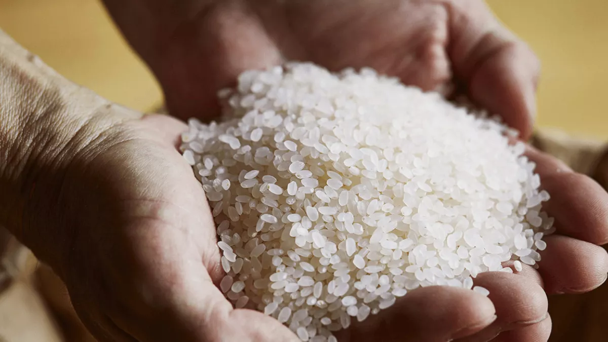 Two hands holding a mound of rice