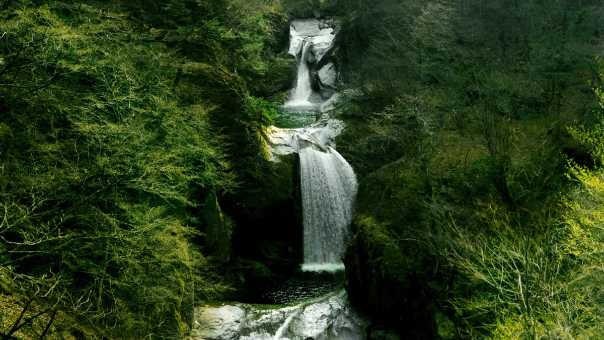 Spring water flowing into a stream in Japan
