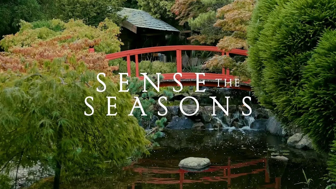 Japanese house with a bridge and greenery with text on image sense the seasons
